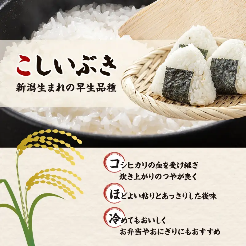 【最短3日配送】新潟県産 品種おまかせ 2kg 新潟県 新潟市産 令和7年産 お米 精米 米 ご飯 送料無料