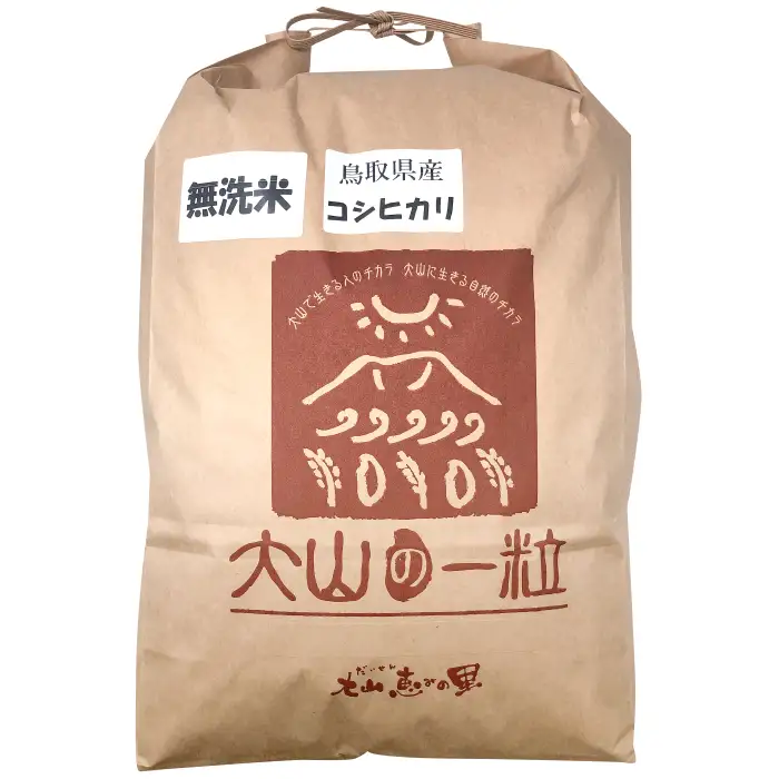 大山の一粒 無洗米 10kg【米 無洗米 10kg 10キロ こめ コメ むせんまい 先行予約 お米 白米 精米 こしひかり コシヒカリ 簡単 ごはん ライス kome 国産 お取り寄せ 鳥取県 大山町】