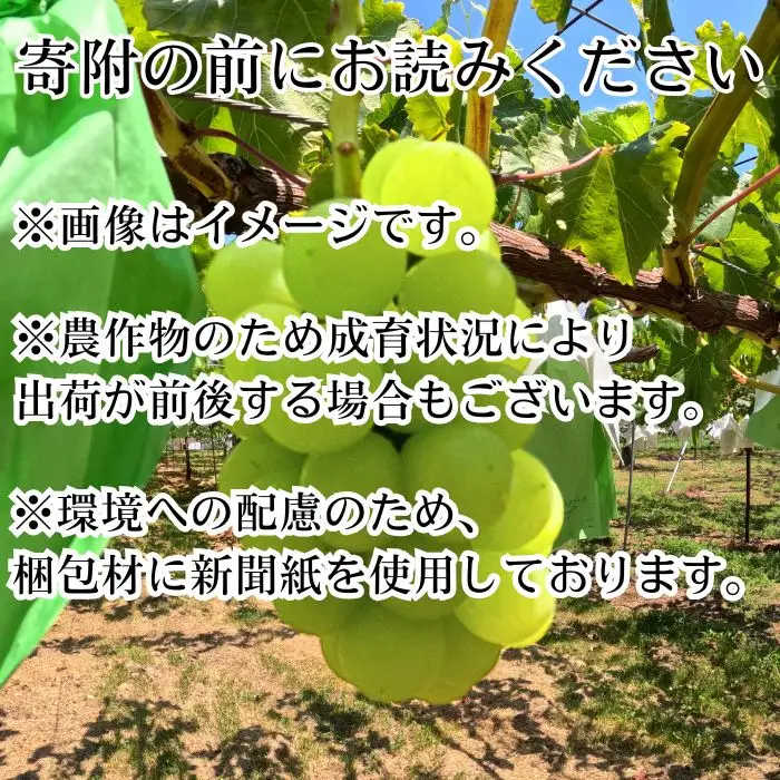 天晴 1.5kg 長野県高森町