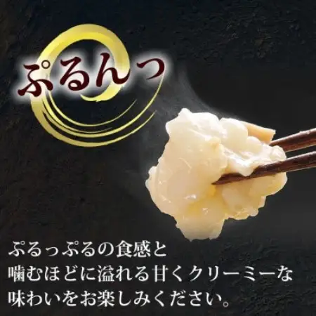 【毎月定期便】博多もつ鍋やまやのあごだし醤油味(1～2人前)(大野城市)全12回【配送不可地域：離島】【4086010】