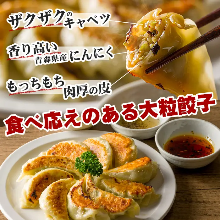 ＜10営業日以内に発送予定＞ぴあの手包餃子(50個) ぎょうざ 惣菜 おつまみ 冷凍 【障害者地域生活支援センターぴあ】【ms06-01】