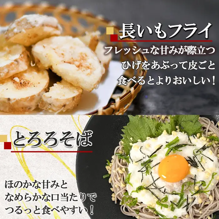 青森県三沢市産 長いも (5kg) 野菜 やさい 根菜 とろろ 長芋 長いも 山いも 芋 いも 青森県産 三沢市産 【おいらせ農業協同組合】【ms25-02】