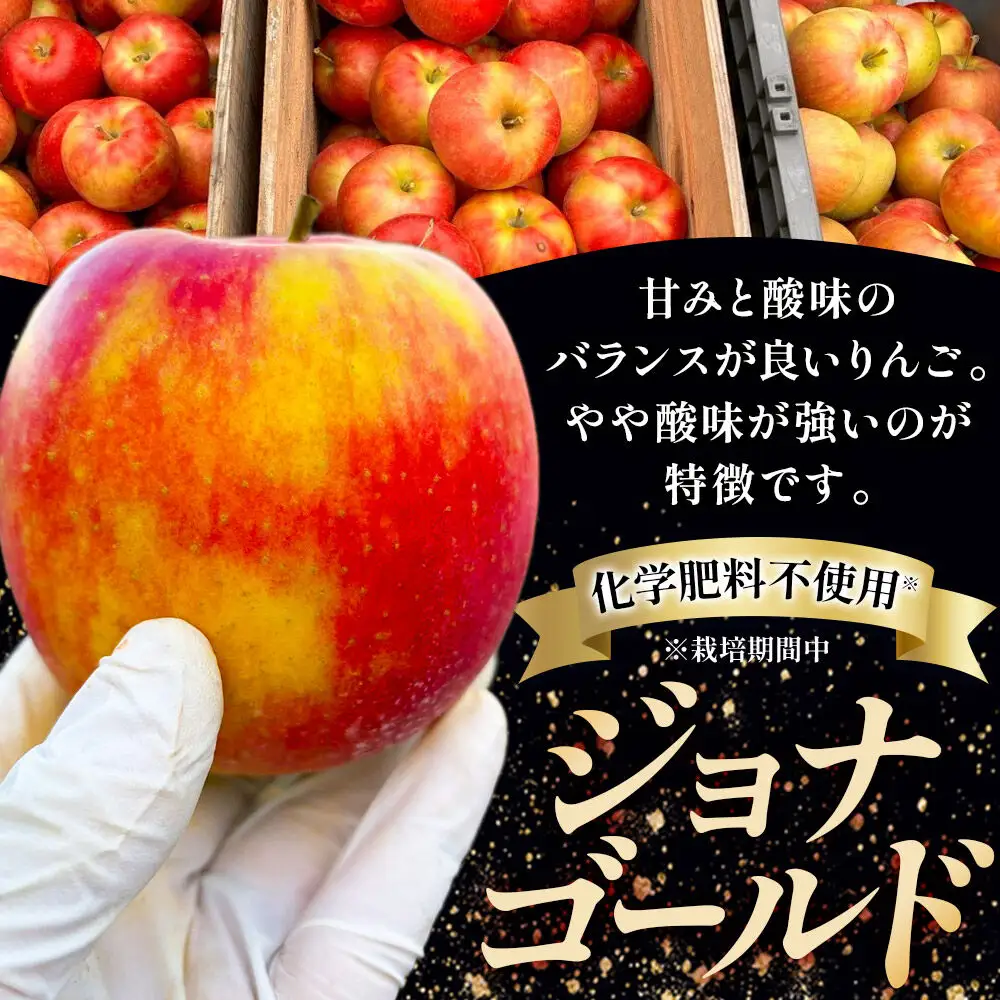 【26年10月発送】りんご 葉とらず ジョナゴールド【家庭用】約3kg カワムラファーム 青森県 弘前市