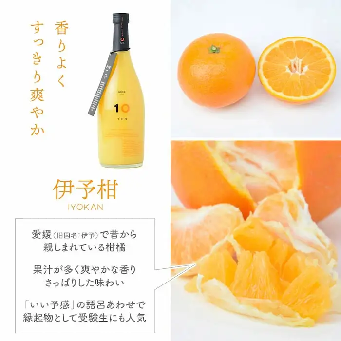 愛媛 伊予柑 みかん  果汁 100% ストレート ジュース 720ml  10 FACTORY | いよかん  柑橘  瓶 オレンジ 国産 贈答 ギフト ぎふと 内祝い お返し お見舞い お供え お中元 お歳暮 プレゼント 愛媛 松山 【FCT020】