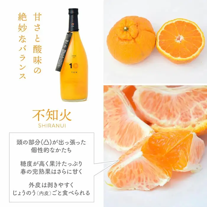 愛媛 不知火  果汁 100% ストレート ジュース 720ml  10 FACTORY |  しらぬい 柑橘  瓶 オレンジ 国産 贈答 ギフト ぎふと 内祝い お返し お見舞い お供え お中元 お歳暮 プレゼント 愛媛 松山 【FCT025】