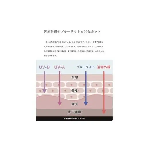 ロサブラン【日傘】2段折り プレーン 曲がり竹手元【50cm】【シャンパンベージュ(ブラック)】