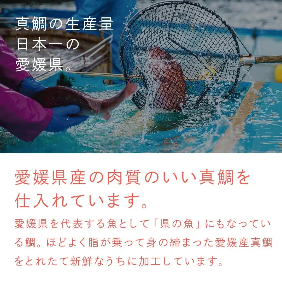 鯛めしの素 [白] SHIRO -北条風- (2 合炊き) 【愛媛産真鯛】|  国産 瀬戸内海産 お取り寄せ 郷土料理 ふるさとの味 高級 本格 炊き込みごはん 炊飯 松山あげ MEDETAIME   贈答 ギフト ぎふと 内祝い お返し お見舞い お供え お中元 お歳暮 プレゼント 愛媛 松山 【FCT027】
