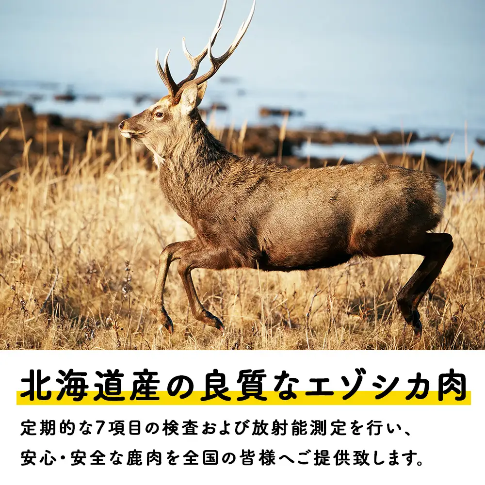 【定期便2回】エゾシカ水煮100g【鹿ごはんシリーズ】　10パック