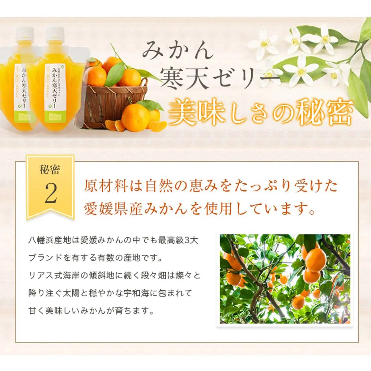 ＜5種の味わい食べ比べ寒天ゼリー＞ 『1か月以内に順次出荷予定』愛媛柑橘セレクション お任せ 贅沢 フルーツ デザート セット 果物 みかん ひんやりスイーツ おやつ ギフト 贈り物 特産品 ミヤモトオレンジガーデン 愛媛県 西予市【常温】ONM0003