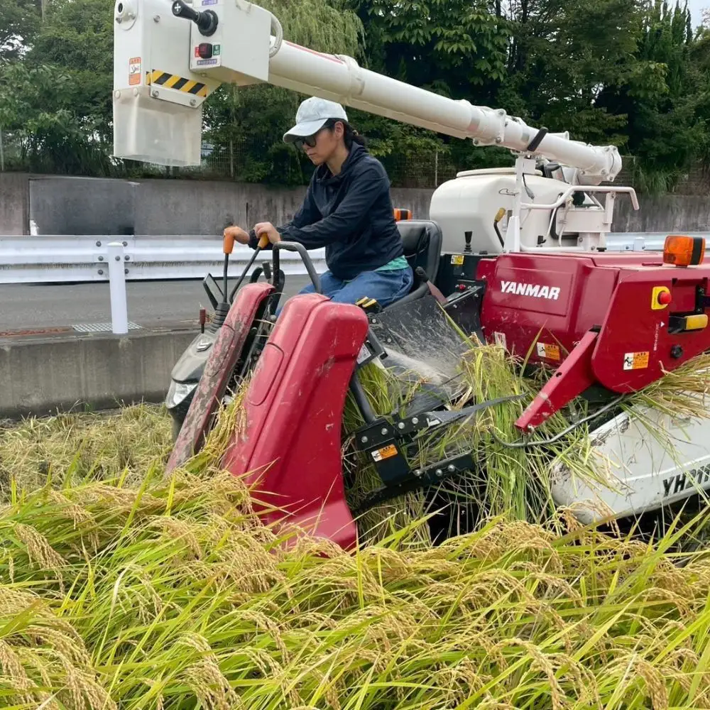 【令和7年産】静岡県産こしひかり2kg/栽培期間中農薬不使用