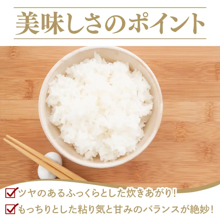 【3ヶ月定期便】【金賞農家が栽培した家庭用米】立神米「にじのきらめき」10kg×3回（白米）【谷田部農産】令和8年産｜茨城県 大子町 奥久慈 大子産米 精米 米 コンテスト 受賞 生産者（BT085）
