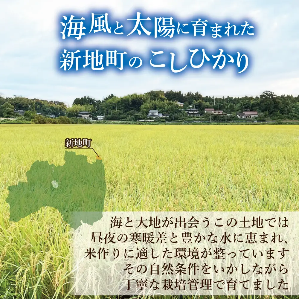 新地産こしひかり玄米5kg｜コシヒカリ お米 2025年産  おこめ ライス  R7 ご飯 ごはん 数量限定 ブランド米 令和7年度産 健康 つやつや もちもち 新地町