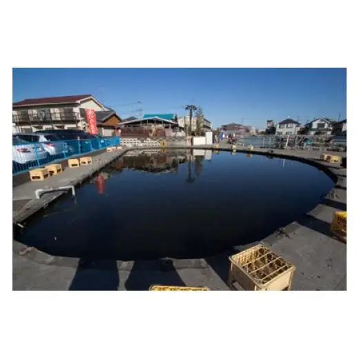 手ぶらで気軽に！府中へら鮒センター/鯉釣り・雑魚釣り体験チケット【１時間券】