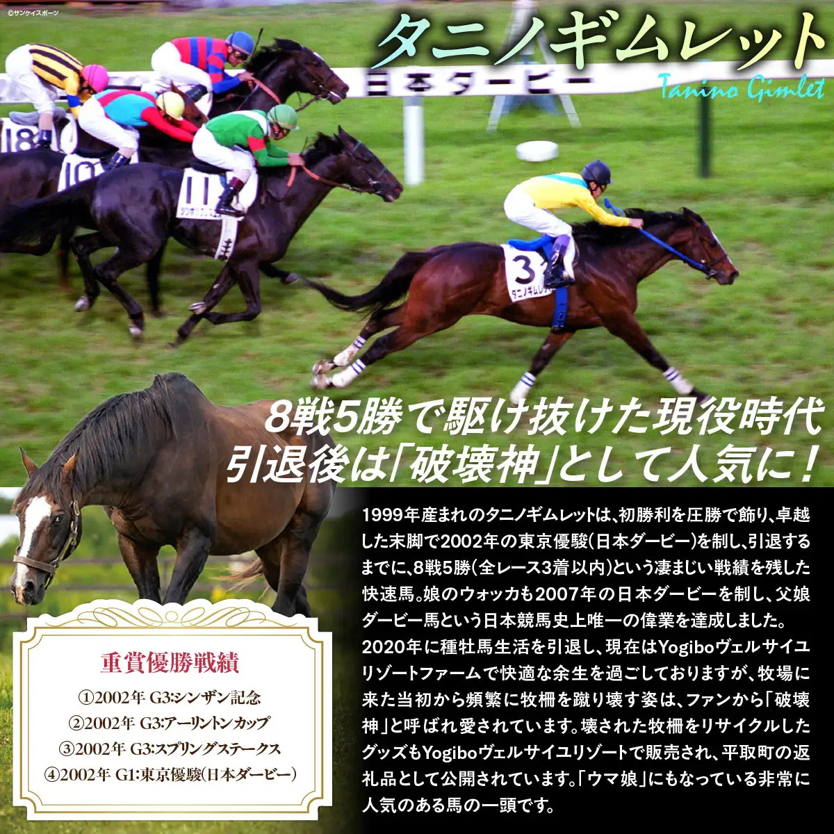 【御守り】破壊神タニノギムレットたてがみ入り牧柵利用勝守り BRTV100