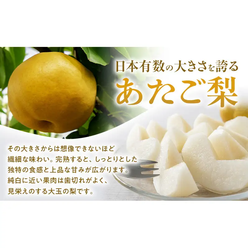 あたご梨 2玉 合計約1.8kg 梨 なし 果物 フルーツ 岡山県産 2026年 岡山県産 梨