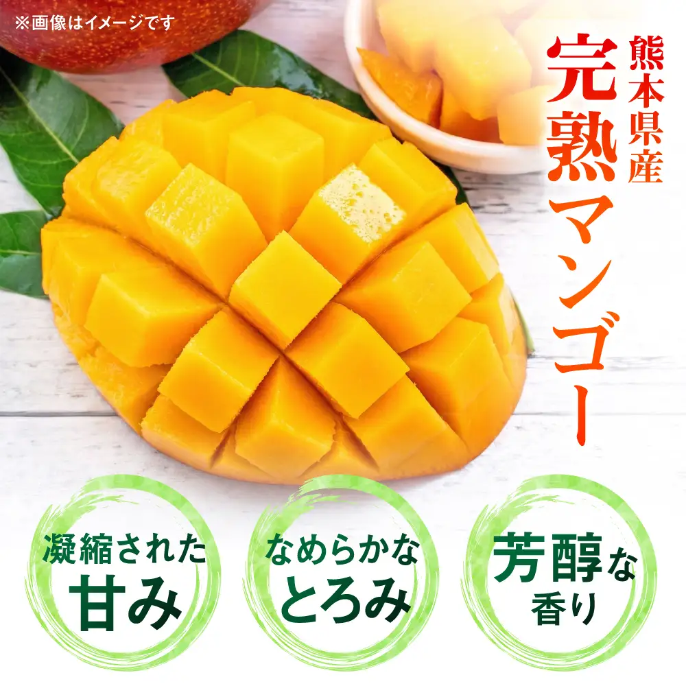 【訳あり】 完熟マンゴー約2kg マンゴー[AYDU002]