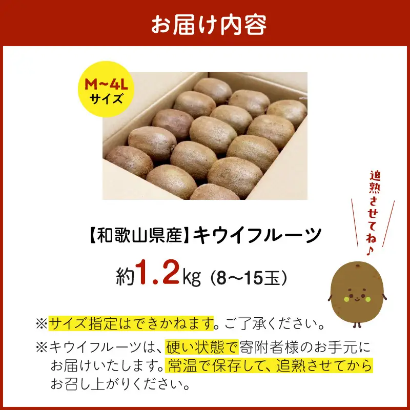 【2027年1月下旬から順次発送】和歌山産　キウイフルーツ　約1.2kg　秀品_BL6175