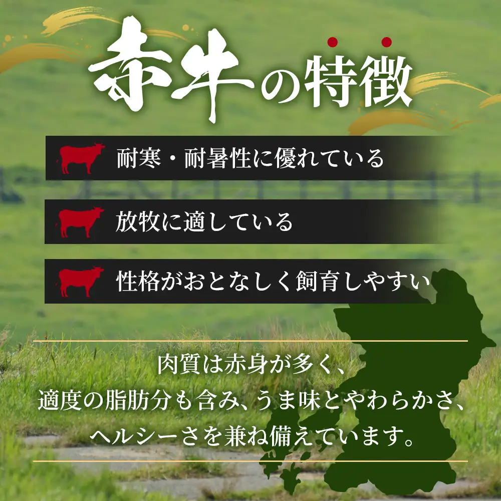 熊本 赤牛 ハンバーグ 150ｇ×10個 121-0601