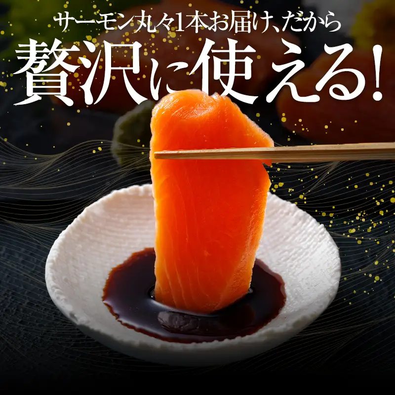 開拓の志 武揚サーモン 「森町」 活〆1本 ＜株式会社 ワイエス海商＞ サケ さけ 鮭 海鮮丼 海産物 森町 ふるさと納税 北海道 mr1-1342