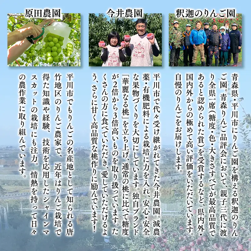 ひらかわフルーツ満喫便　3回定期コース【hi-0999-011】