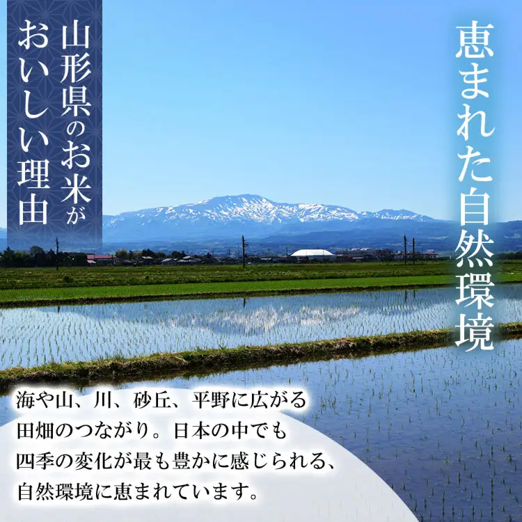 【令和7年産】 特別栽培米 つや姫 2kg (2kg×1袋)