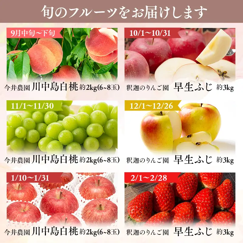 【ふるなびWEEK対象】りんご食べ比べ3種入り！プレミアム定期便6回(桃・シャインマスカット・りんご3種)【hi-0999-014】