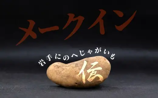 【 厳選品 】 岩手にのへじゃがいも「伝」メークイン （ サイズ混合 ） 5kg ／ じゃがいも 野菜 やさい 国産 岩手県産 二戸市産 芋類 【 2026年9月上旬～2027年2月上旬発送予定 】