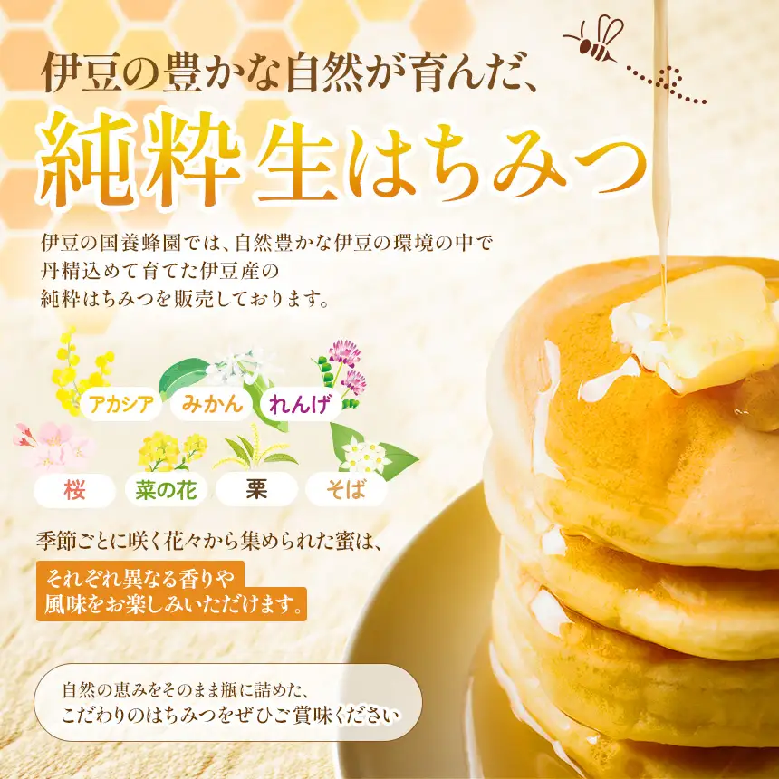 蜂蜜500ｇ(1本)　伊豆の国養蜂園