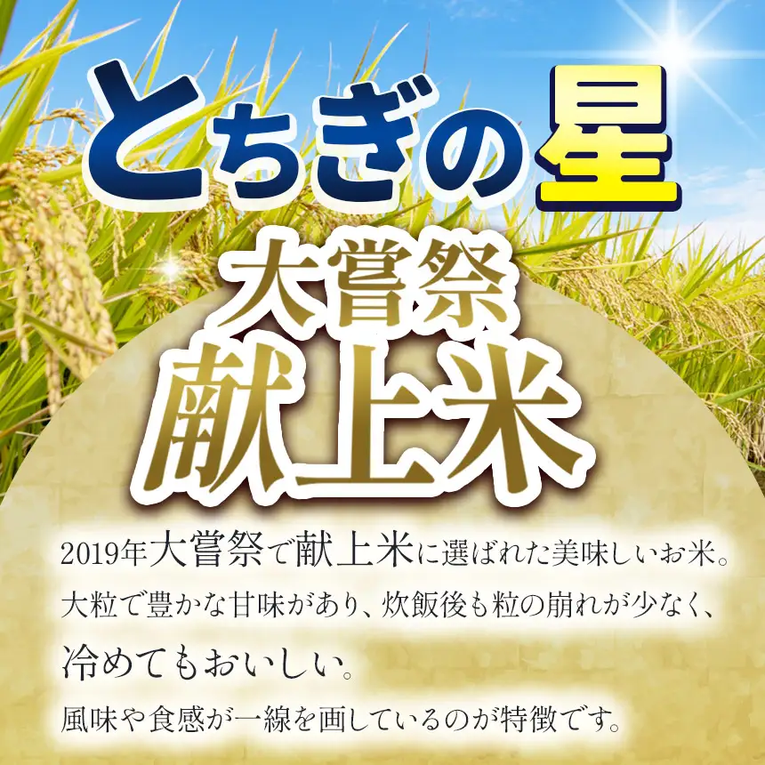 【栃木県共通返礼品】【先行予約】【11月発送分】令和8年度新米 栃木県産とちぎの星（玄米真空パック) 約2kg×5  |  栃木県 那珂川町 送料無料