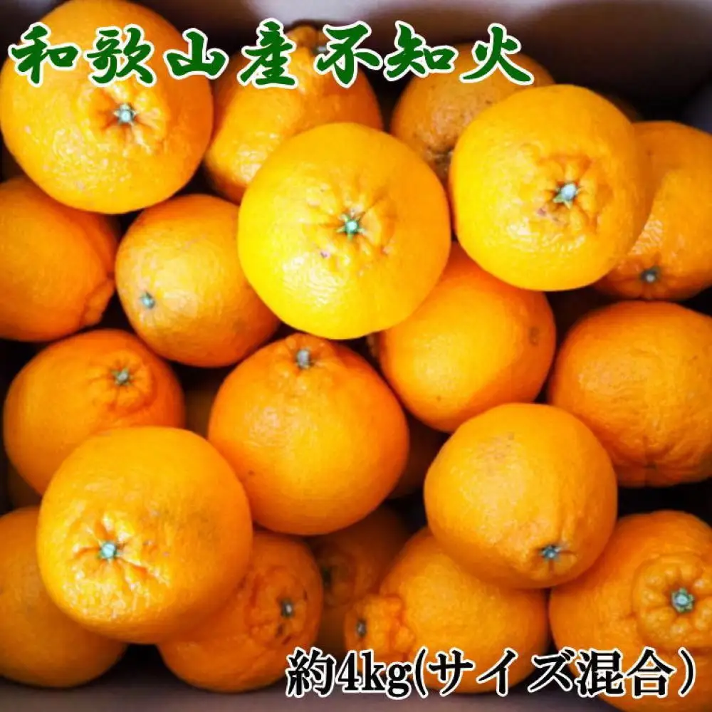 定期便 全3回 【2月・3月・4月発送】和歌山の春のフルーツ（ポンカン・不知火・まりひめ）［TM259］