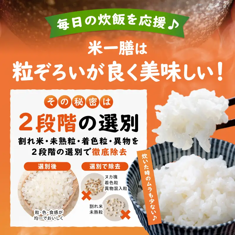 米 5kg 米[ブレンド米 2～7営業日以内に発送予定]