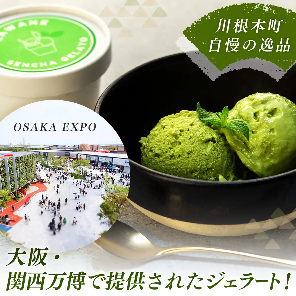 10-5 せせらぎの郷　川根煎茶のジェラート　６個入り