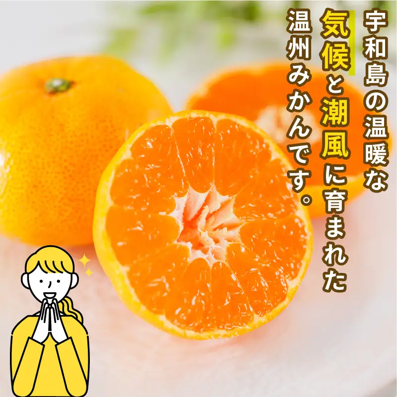 みかん 訳あり 温州みかん 約6kg スーパー山田屋 B010-198001