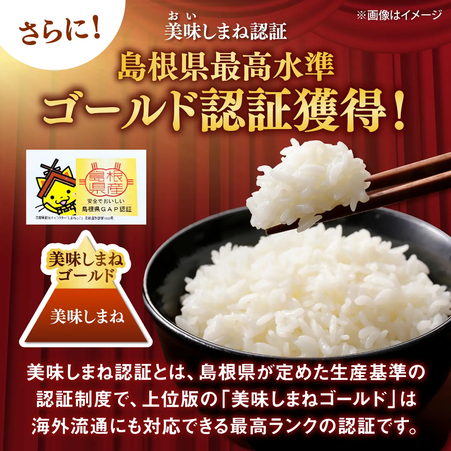 【有機JAS認証】【令和8年産 新米予約】有機栽培米 雲南市産きぬむすめ 10kg  [AIEO003]