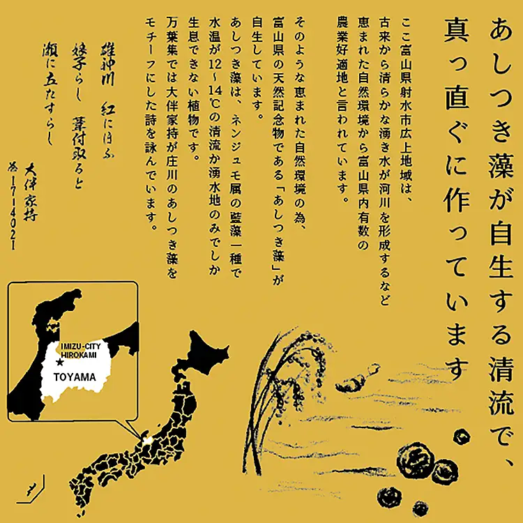 【6ヶ月定期便】【射水市】【スマート農業】【射水の美味しいお米】あしつきの郷のあしつき米 R8年度産 富富富 20kg（5kg×4）【精米】※2026年10月～発送