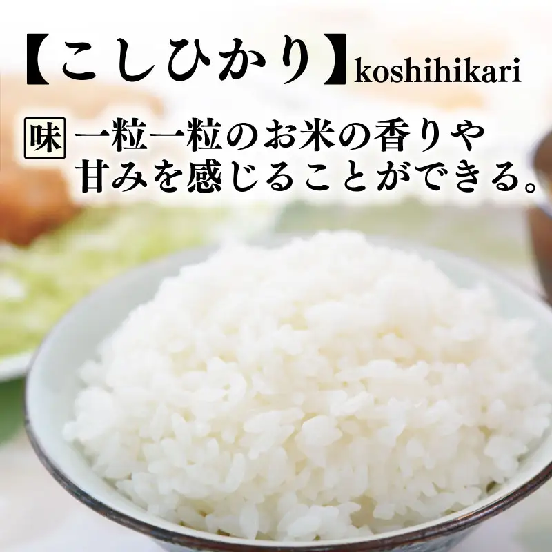 【令和8年産】 新米 定期便 5kg×6回 コシヒカリ 新米 AS019