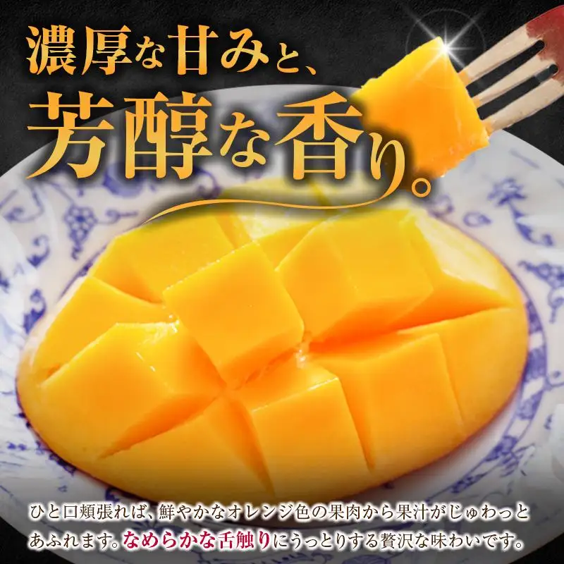 ＜2027年発送＞『太陽のタマゴ』 宮崎 完熟マンゴー 2L×2玉（1玉350～459g） 宮崎県産 トロピカル フルーツ 贈答 お取り寄せ 果物 旬