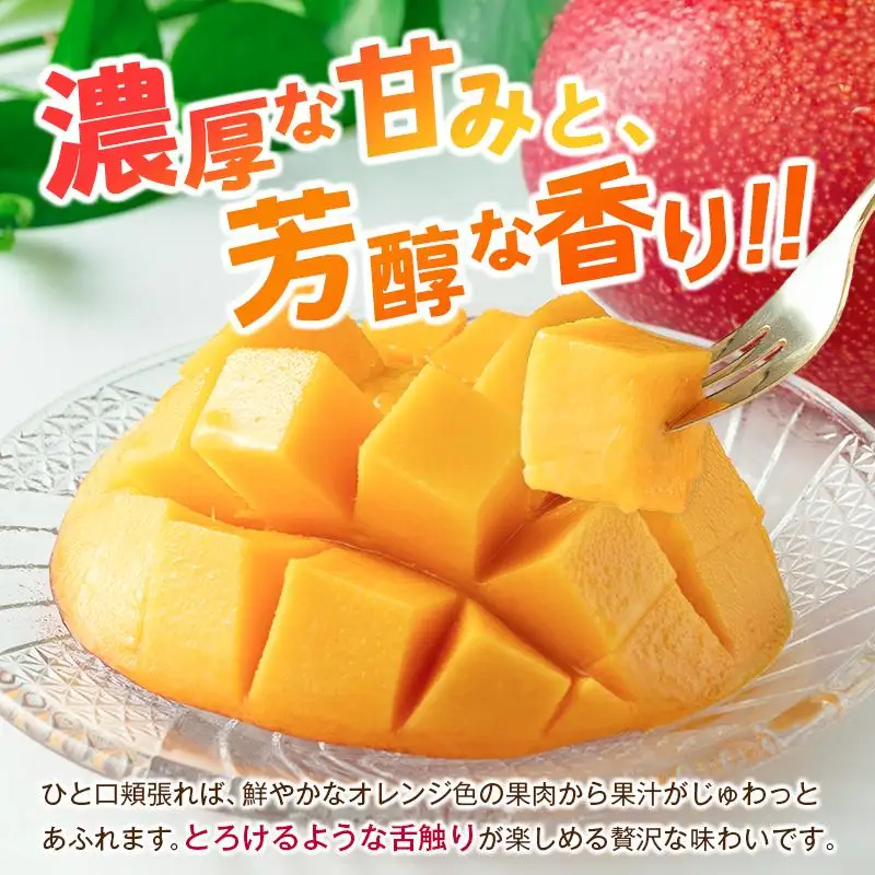 ＜2027年発送＞宮崎県産 完熟マンゴー 2Lサイズ×2玉（1玉350～459g） 宮崎 トロピカル フルーツ お取り寄せ 果物 旬