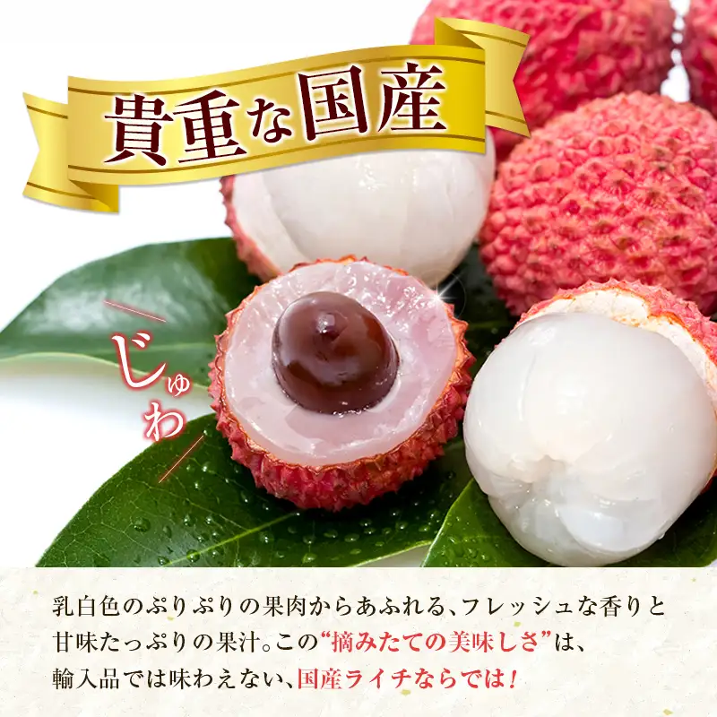 新富町産 生ライチ 約400g 9～15玉 国産 宮崎 贈答品 数量限定 B704-27