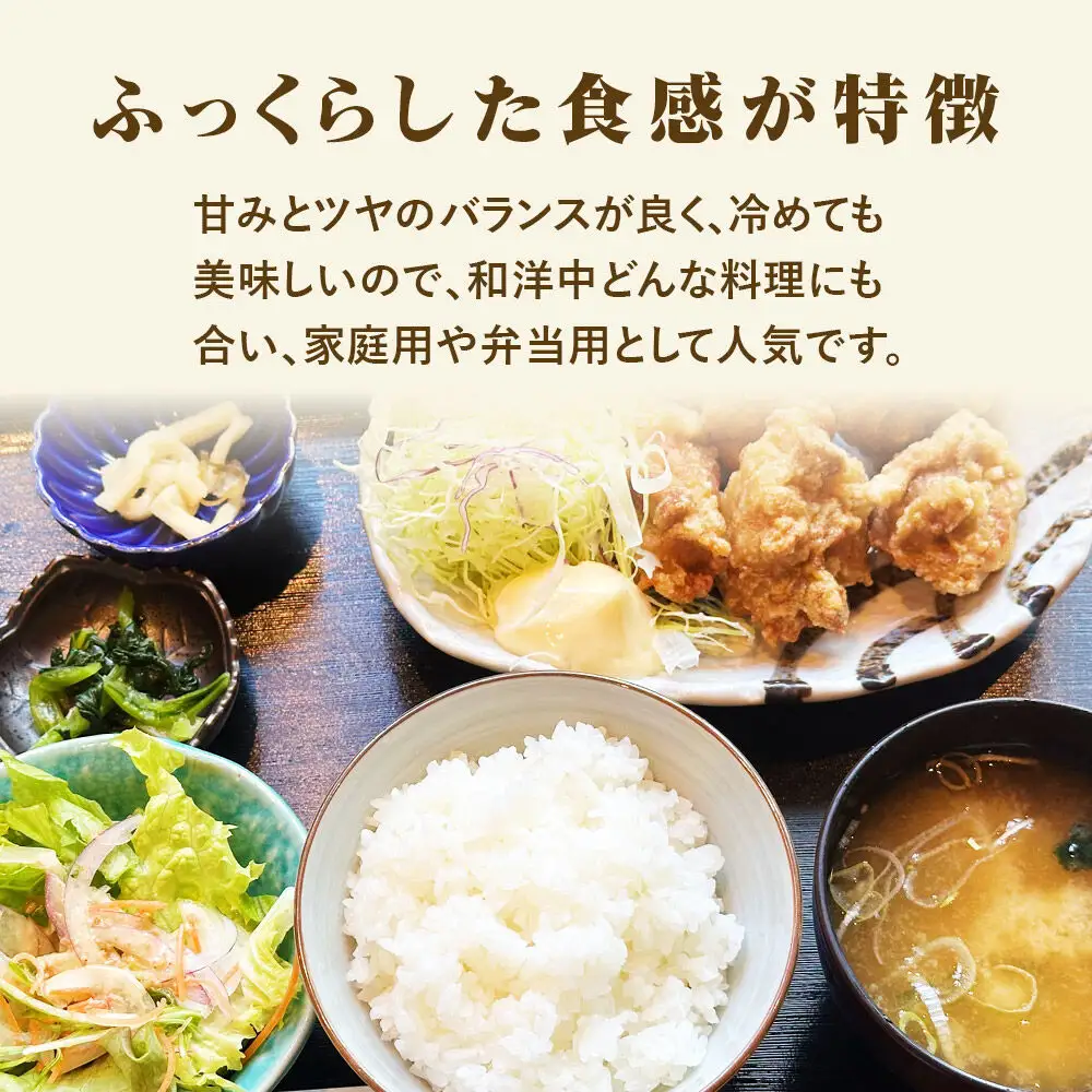 令和7年産 宮城県産天女ひとめぼれ 白米 10kg（5kg×2）