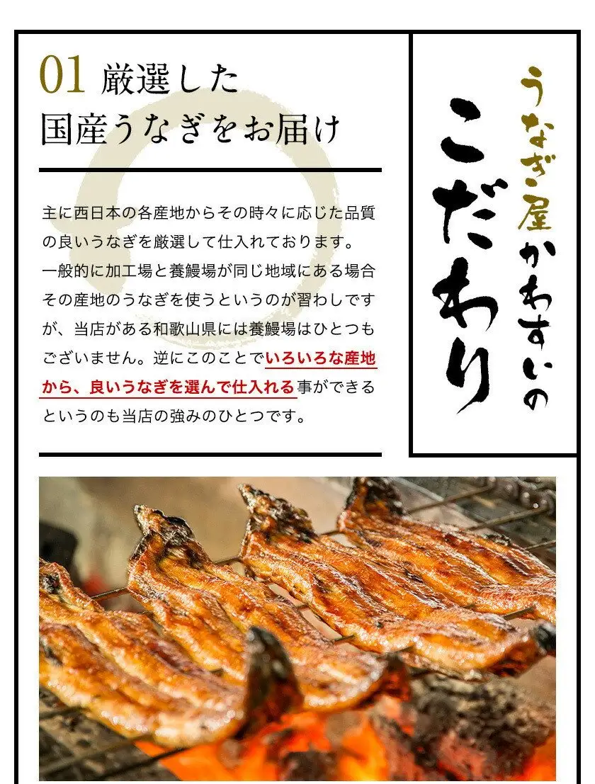 【丑の日用】国産うなぎ蒲焼き大サイズ2本セット(B1166-1) 