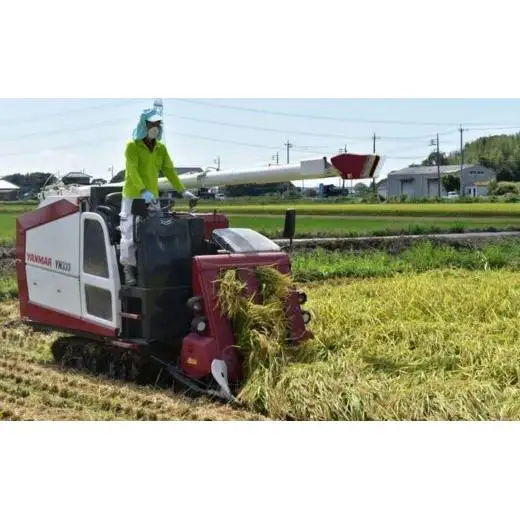 【3ヶ月定期便】利根町産【特別栽培米】コシヒカリ　精米5kg×3回 ／ お米 コメ こめ ごはん コシヒカリ 白米 精米 5kg 特別栽培 令和7年産 定期便 3回 茨城県 利根町