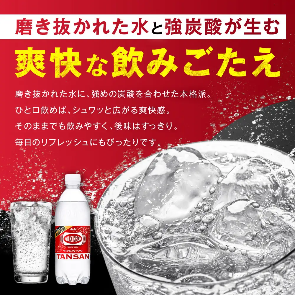 【定期便12か月】アサヒ 炭酸水 ウィルキンソンタンサン ペットボトル 500ml ×24本