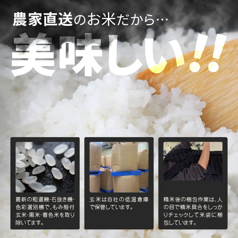 先行予約 定期便 12ヶ月連続お届け コシヒカリ 2kg (1袋) × 12回 計24kg 白米 ブランド米 2026年10月上旬以降順次発送 [F-8914]