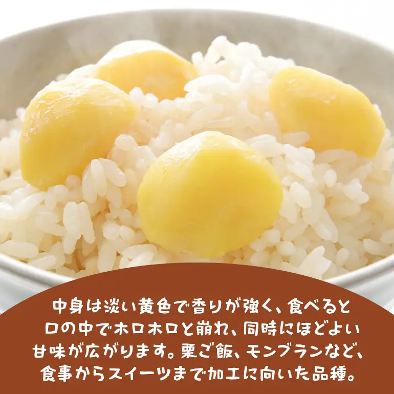 生栗 2kg 4Lサイズ 筑波 栗 クリ くり 茨城県 笠間市 JO-016