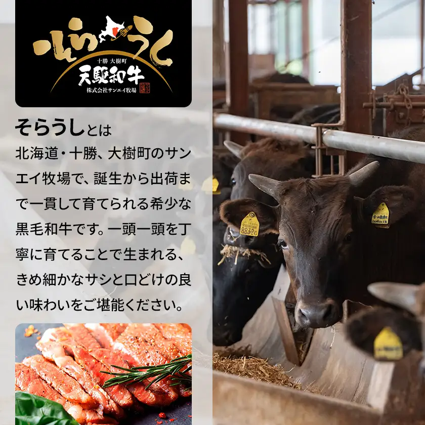 「天駆和牛(そらうし)」ステーキ食べ比べ(ヒレ/リブ/サーロイン 各1セット)【配送不可地域：離島】【1733983】