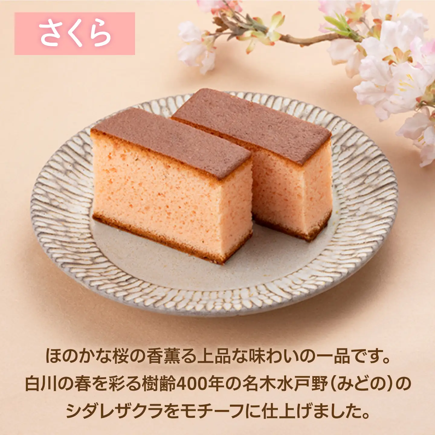 白川四季の宝菓 かすてら4種セット / 松川屋[AWAD004]カステラ