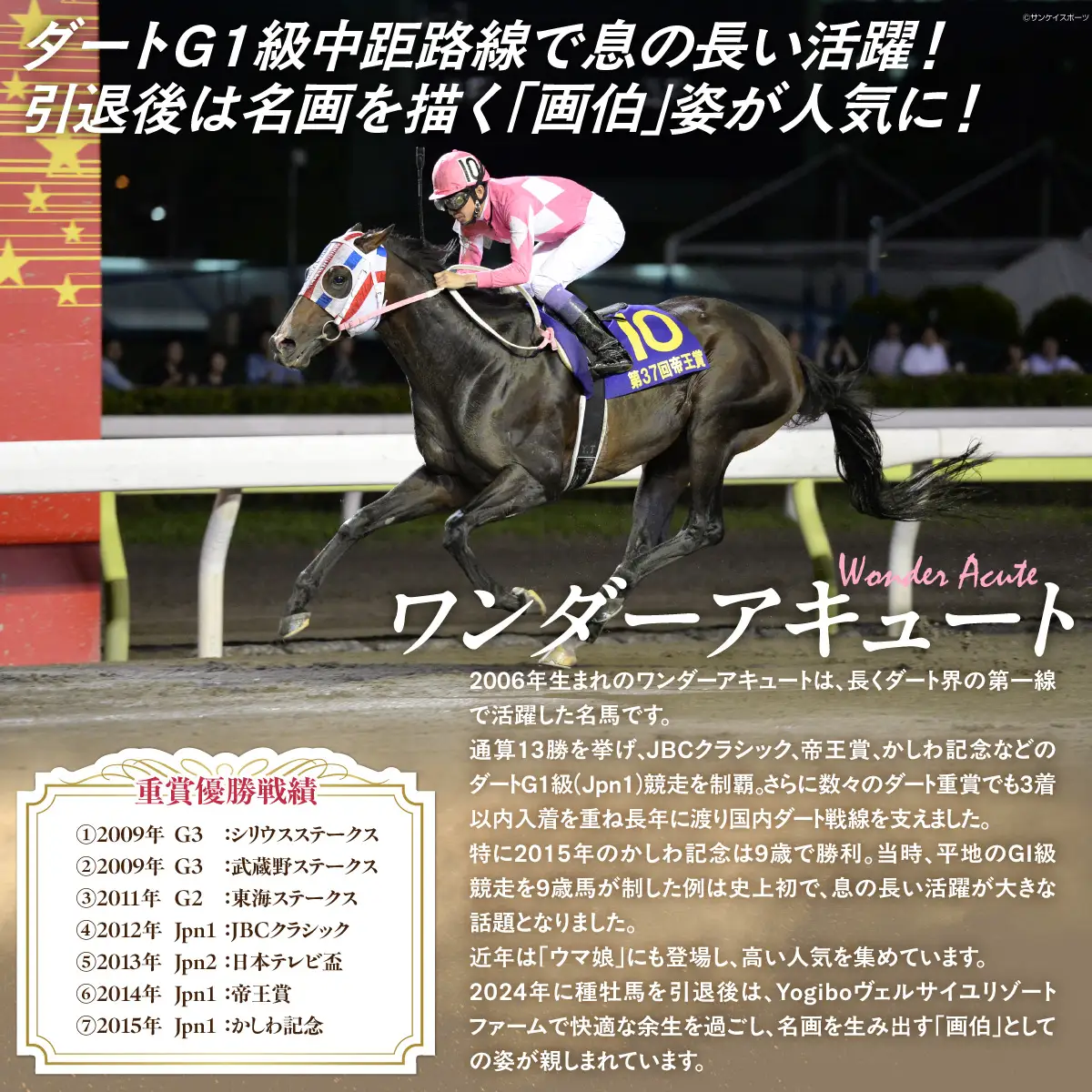 【ワンダーアキュート】特大ぬいぐるみ　画伯バージョン BRTV207