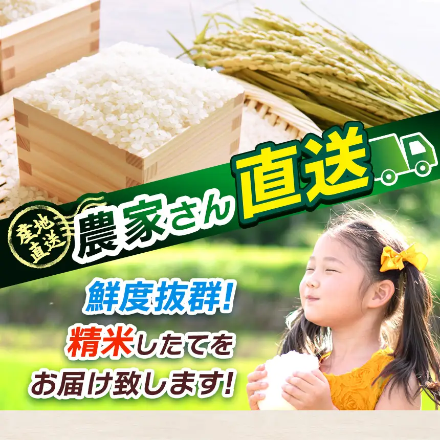 【先行予約】【定期便12回】 ＼白米／ 真岡市産とちぎの星 10kg