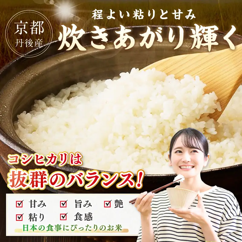 直売所直送「令和8年産　京丹後市産　コシヒカリ」　無洗米10kg こめ ふるさと納税 コシヒカリ 米 精米